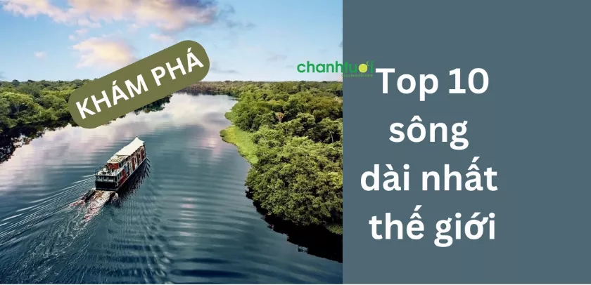 Sông nào dài nhất thế giới? Top 10 sông dài nhất hiện nay?