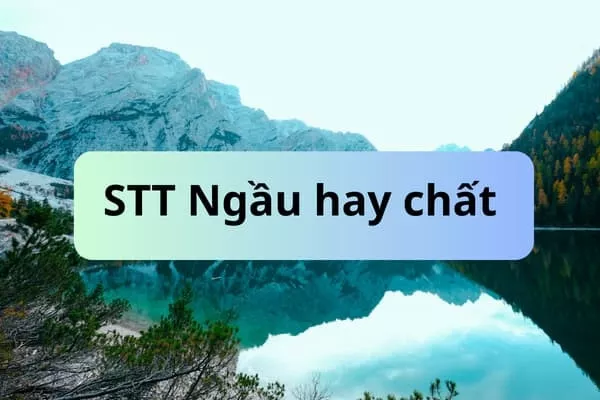 Status chất ngầu