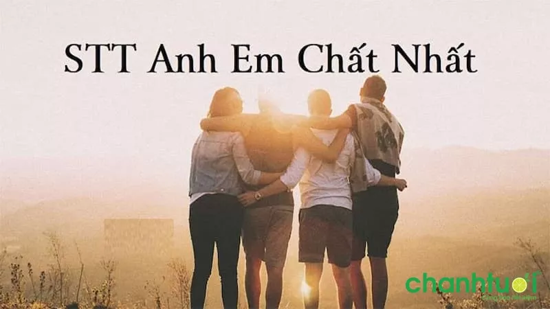 Stt anh em xã hội bá đạo