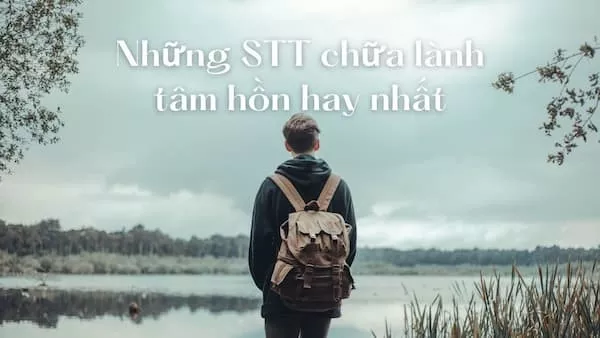 STT Chữa Lành Tâm Hồn Về Tình Yêu, Cuộc Sống Và Gia Đình