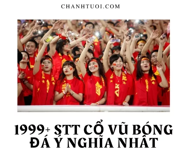 STT cổ vũ bóng đá