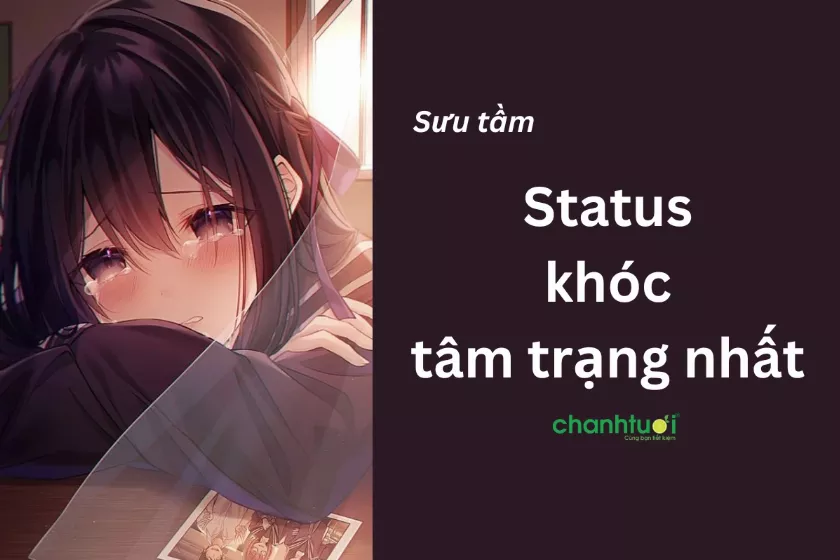 Stt khóc một mình