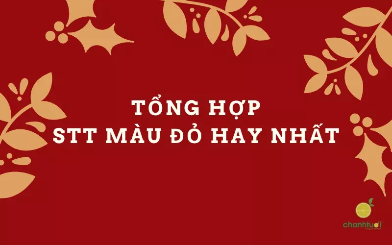 stt màu đỏ tổng hợp