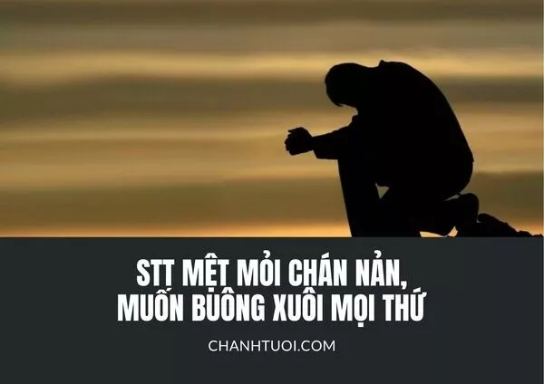 Stt mệt mỏi