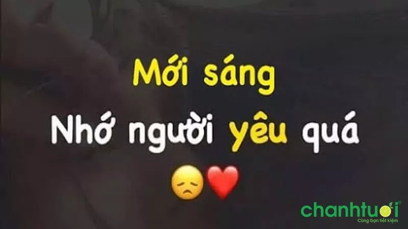 Stt nhớ người yêu dễ thương