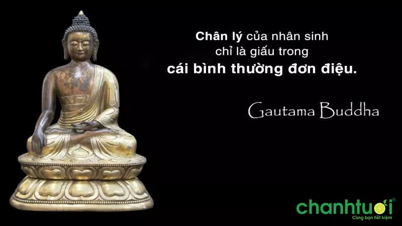 STT Phật dạy về chân lý