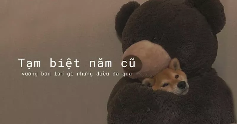 STT tạm biệt năm cũ