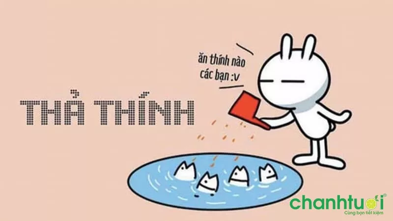 STT thả thính TikTok cho nam