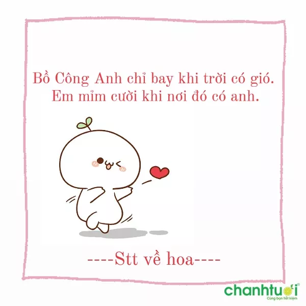 Stt thả thính về hoa