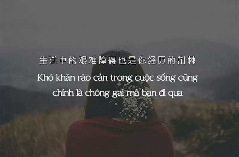 STT tiếng Trung về cuộc sống