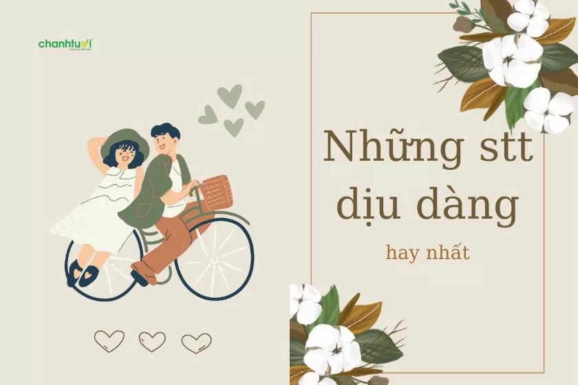 STT về sự dịu dàng