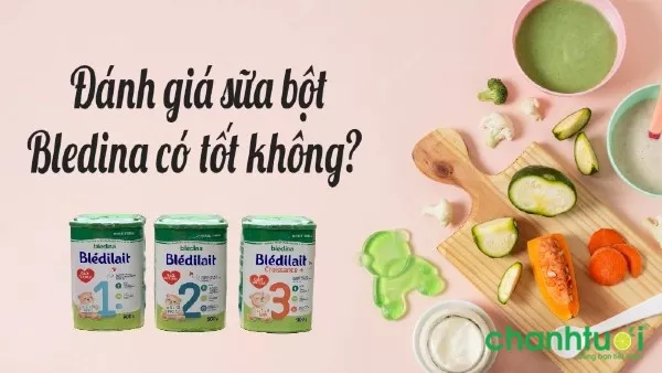 Sữa bột Bledina có tốt không?