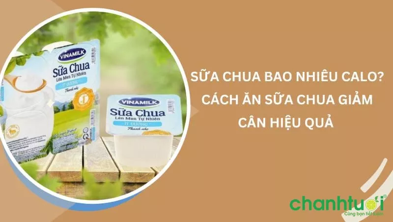 Sữa chua bao nhiêu calo? Cách ăn sữa chua giảm cân an toàn?