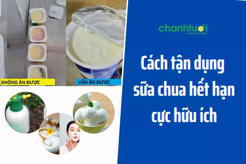 Sữa chua hết hạn ăn được không? 9 Mẹo tận dụng sữa chua hết hạn