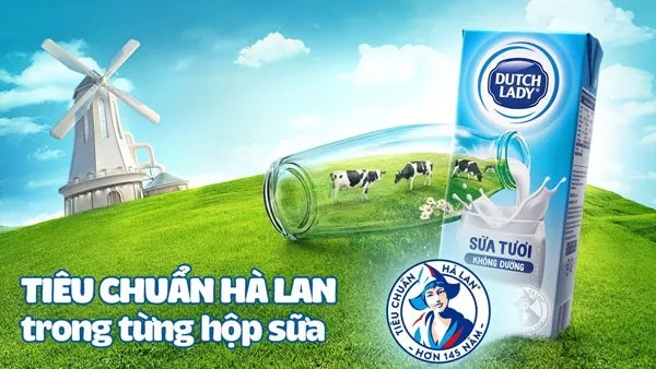 Sữa Cô Gái Hà Lan