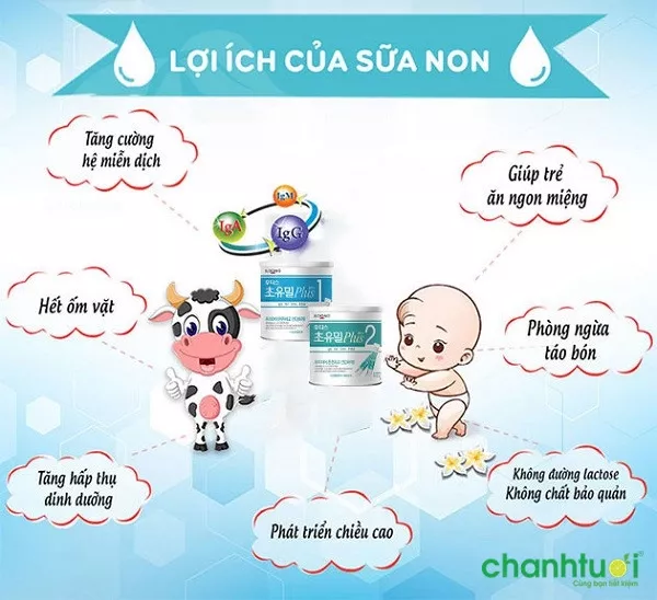 Sữa non ILDong cho trẻ phát triển