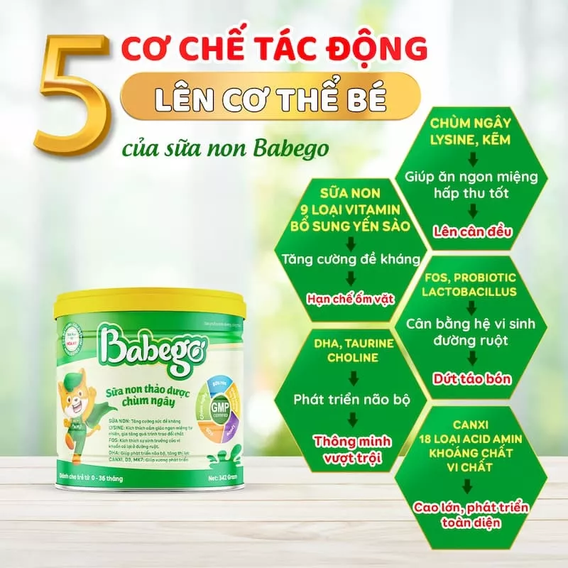 Sữa non thảo dược chùm ngây tăng cân Babego