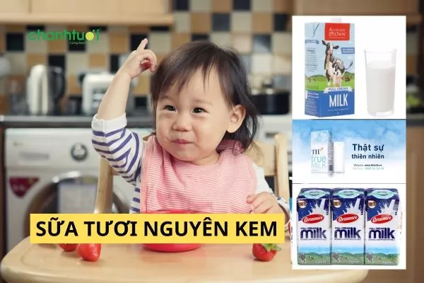 Sữa tươi nguyên kem là gì? Top 10 loại tốt nhất cho bé