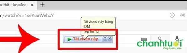 Tải video bằng IDM