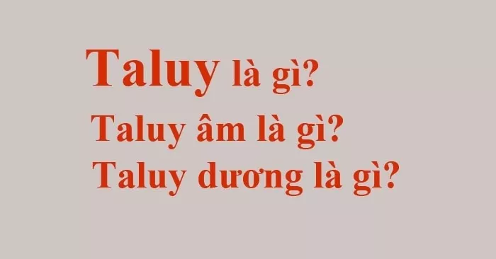 Taluy là gì? Khái niệm Taluy âm và Taluy dương là gì