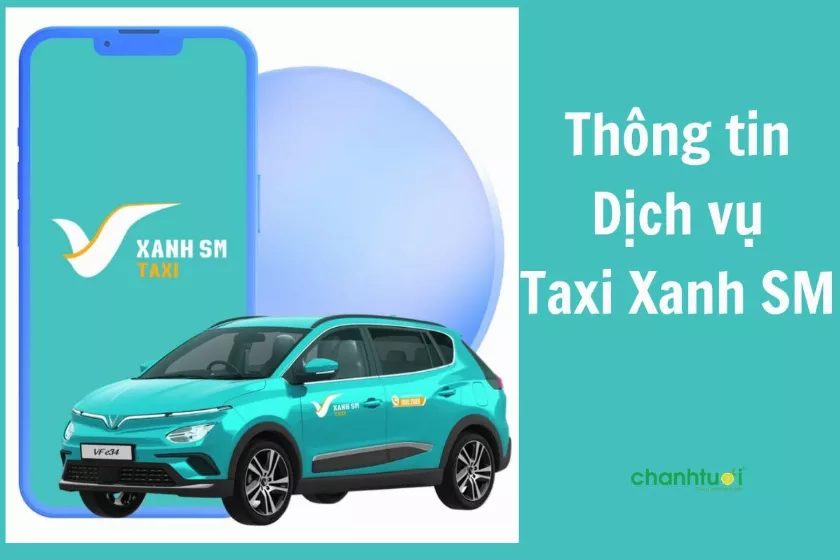 Taxi Xanh SM là gì? Tất tần tật thông tin cần biết 2024