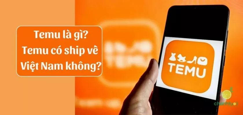 Temu là gì? Mua hàng Temu có ship về Việt Nam không?