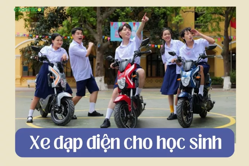 Tham khảo giá xe đạp điện cho học sinh được cập nhật 2024