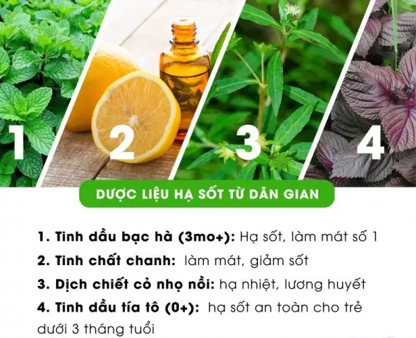 Thành phần khăn hạ sốt Dr Papie