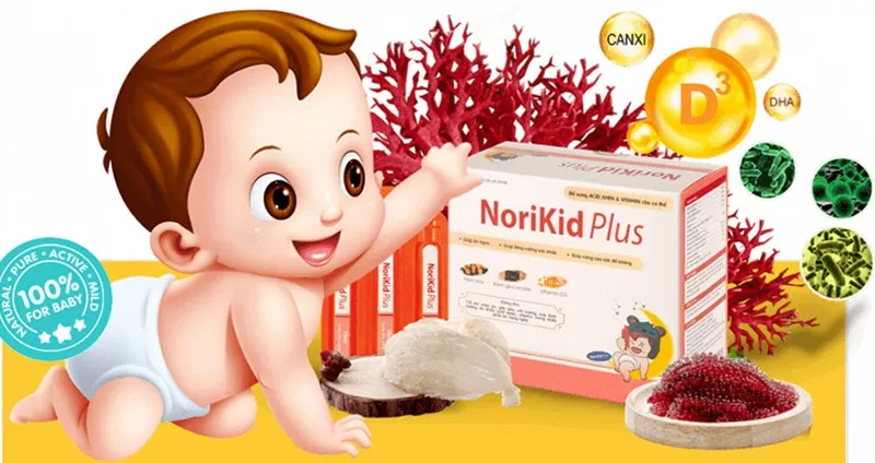 Thành phần Norikid Plus