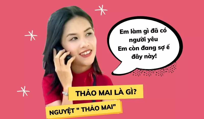 Thảo mai là gì?