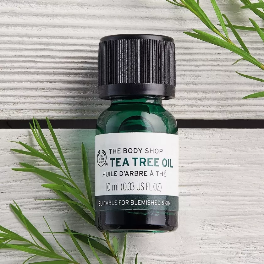 the body shop tea tree oil