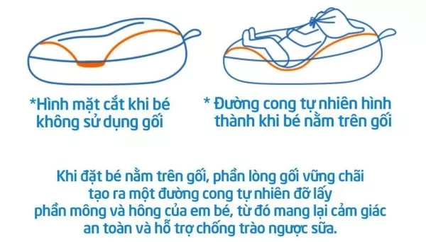 Thiết kế gối Rototo Bebe