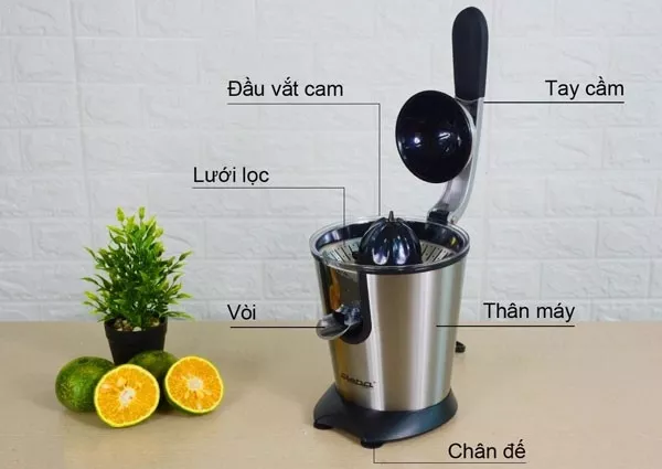 Thiết kế máy vắt cam