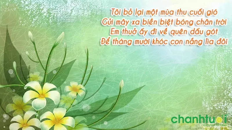 Thơ tháng 10 độc đáo