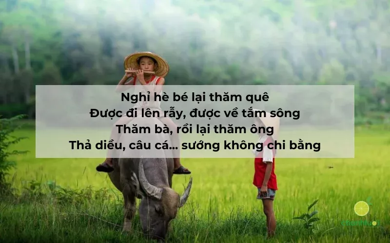 thơ về quê hương 4