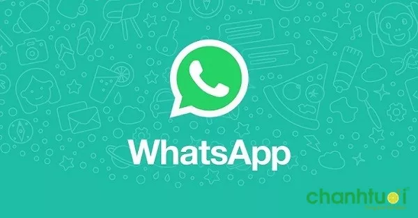 Thống kê tin nhắn WhatsApp