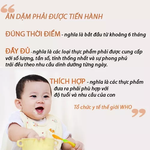 Thực đơn ăn dặm 6 tháng tuổi