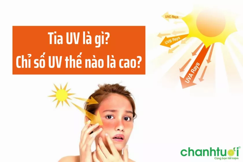 Tia UV là gì? Có mấy loại? Chỉ số UV thế nào là cao?