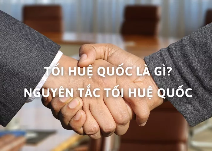 Tối Huệ Quốc là gì? Nguyên tắc, nội dung ý nghĩa của Tối Huệ Quốc