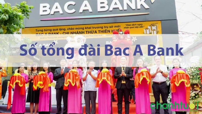 Tổng đài Bắc Á Bank