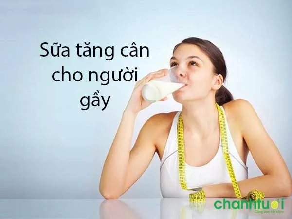 Tổng hợp 10 loại sữa tăng cân cho người gầy tốt nhất 2024