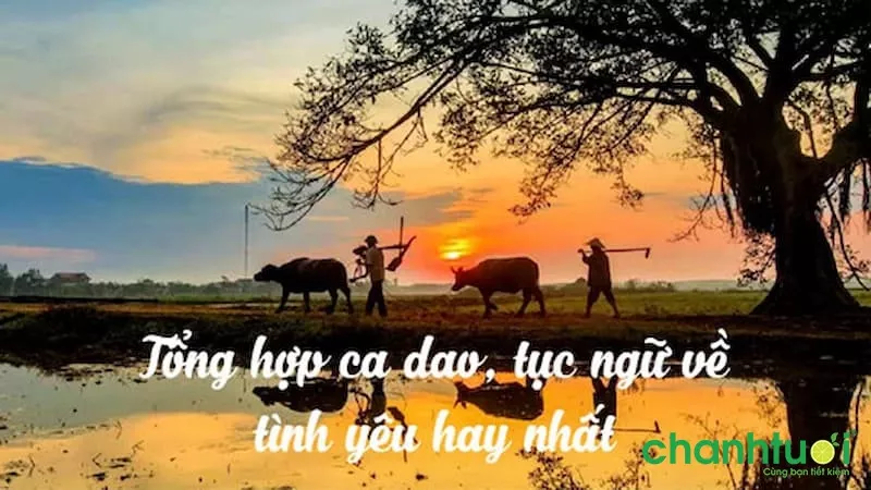 Tổng hợp ca dao, tục ngữ về tình yêu đôi lứa, tình cảm vợ chồng