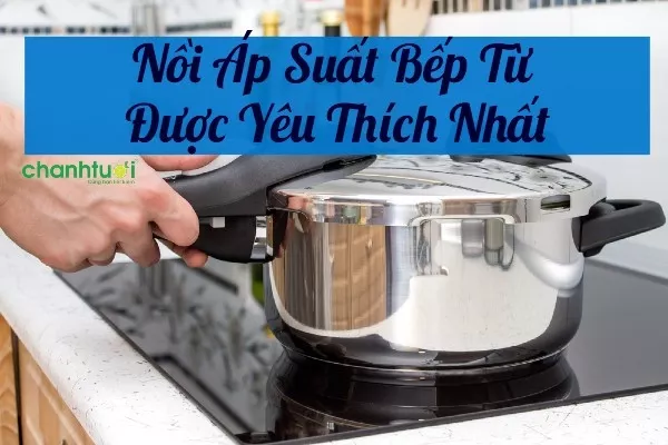 Tổng hợp các loại nồi áp suất bếp từ