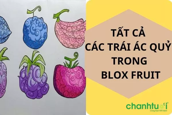 Tổng hợp trái ác quỷ trong Blox Fruits