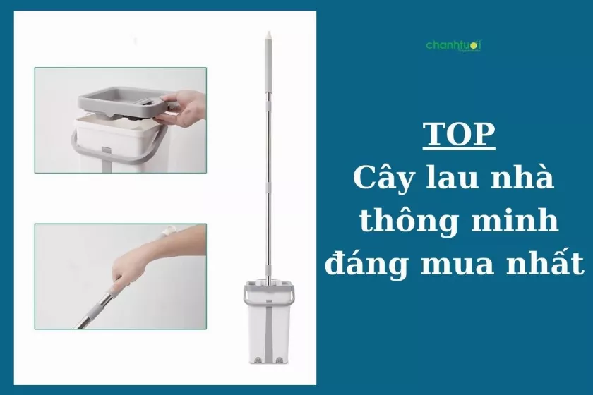 Top 10 cây lau nhà thông minh 360 độ đáng mua nhất 2024