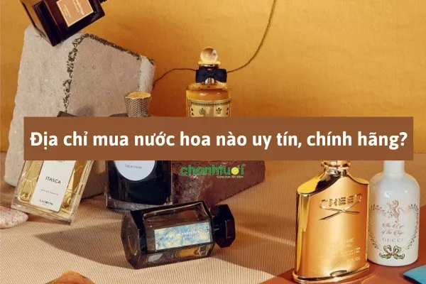 Top 10+ địa chỉ mua nước hoa tại Việt Nam uy tín, chính hãng