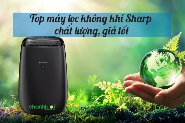 Top 10 máy lọc không khí Sharp chính hãng tốt nhất