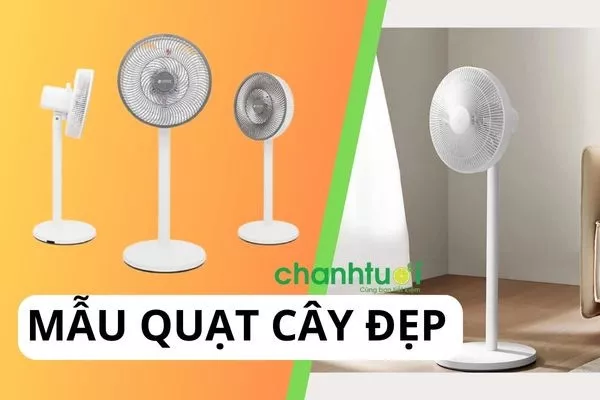 Top 10 quạt cây đẹp chạy êm và tốt nhất nên mua năm 2024