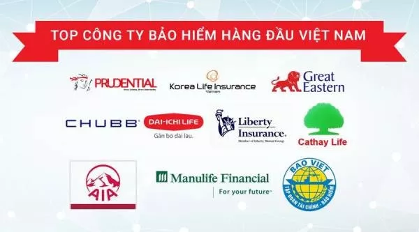 Top 16 công ty bảo hiểm uy tín hàng đầu Việt Nam năm 2024