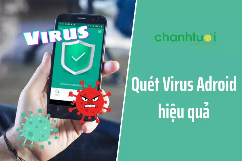 Top 7 ứng dụng quét virus Android hiệu quả tốt nhất 2024